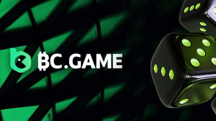 Exploring the BC.Game Platform A Comprehensive Guide to Online Gaming