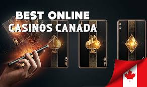 Top Online Casino Games Explore the Best Choices for Fun and Profit